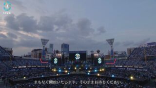 Thumbnail of post image 119