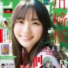 Thumbnail of new posts 010