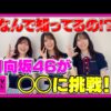 Thumbnail of new posts 049