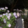 Thumbnail of new posts 045