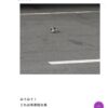 Thumbnail of new posts 046
