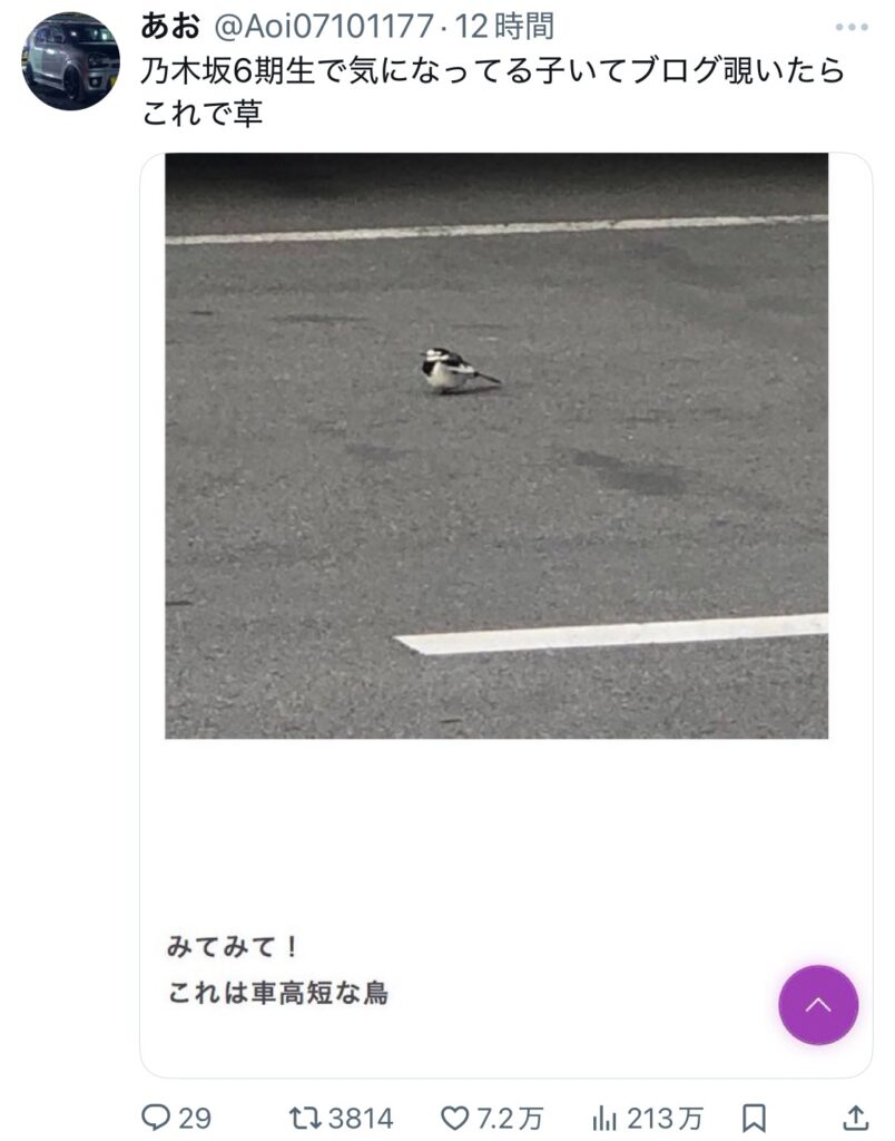 Thumbnail of post image 124