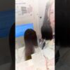 Thumbnail of new posts 095