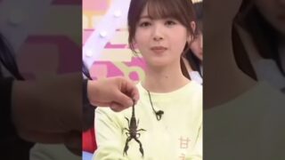 Thumbnail of post image 126