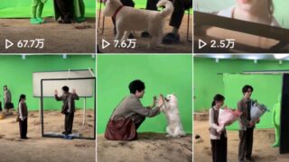 Thumbnail of post image 002