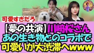 Thumbnail of post image 027