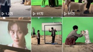 Thumbnail of post image 074