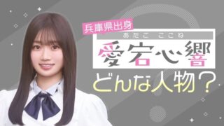 Thumbnail of post image 005