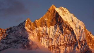 Thumbnail of post image 137