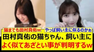 Thumbnail of post image 158