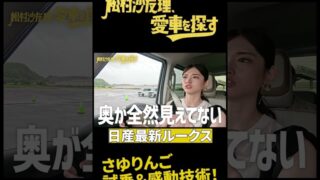 Thumbnail of post image 054