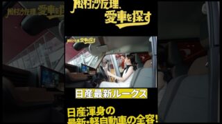 Thumbnail of post image 047