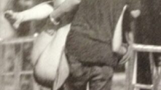 Thumbnail of post image 157