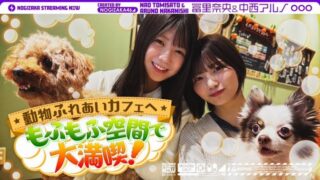 Thumbnail of post image 078