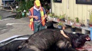 Thumbnail of post image 089