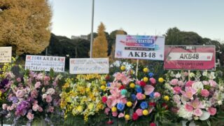 Thumbnail of post image 004