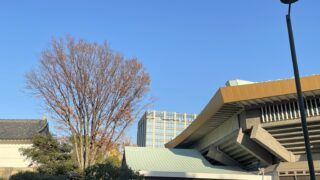 Thumbnail of post image 125