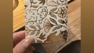 Thumbnail of post image 172