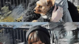 Thumbnail of post image 007