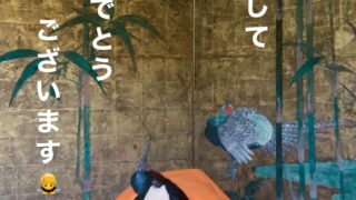 Thumbnail of post image 127