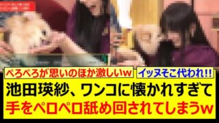 Thumbnail of post image 087