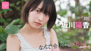 Thumbnail of post image 105