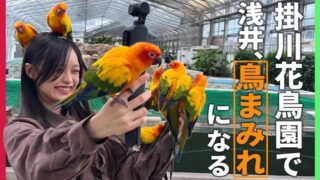 Thumbnail of post image 013