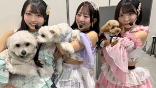 Thumbnail of post image 013