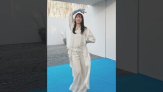 Thumbnail of post image 045