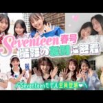 Thumbnail of new posts 073