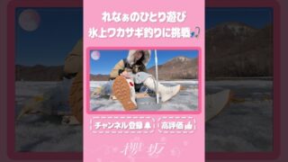Thumbnail of post image 191