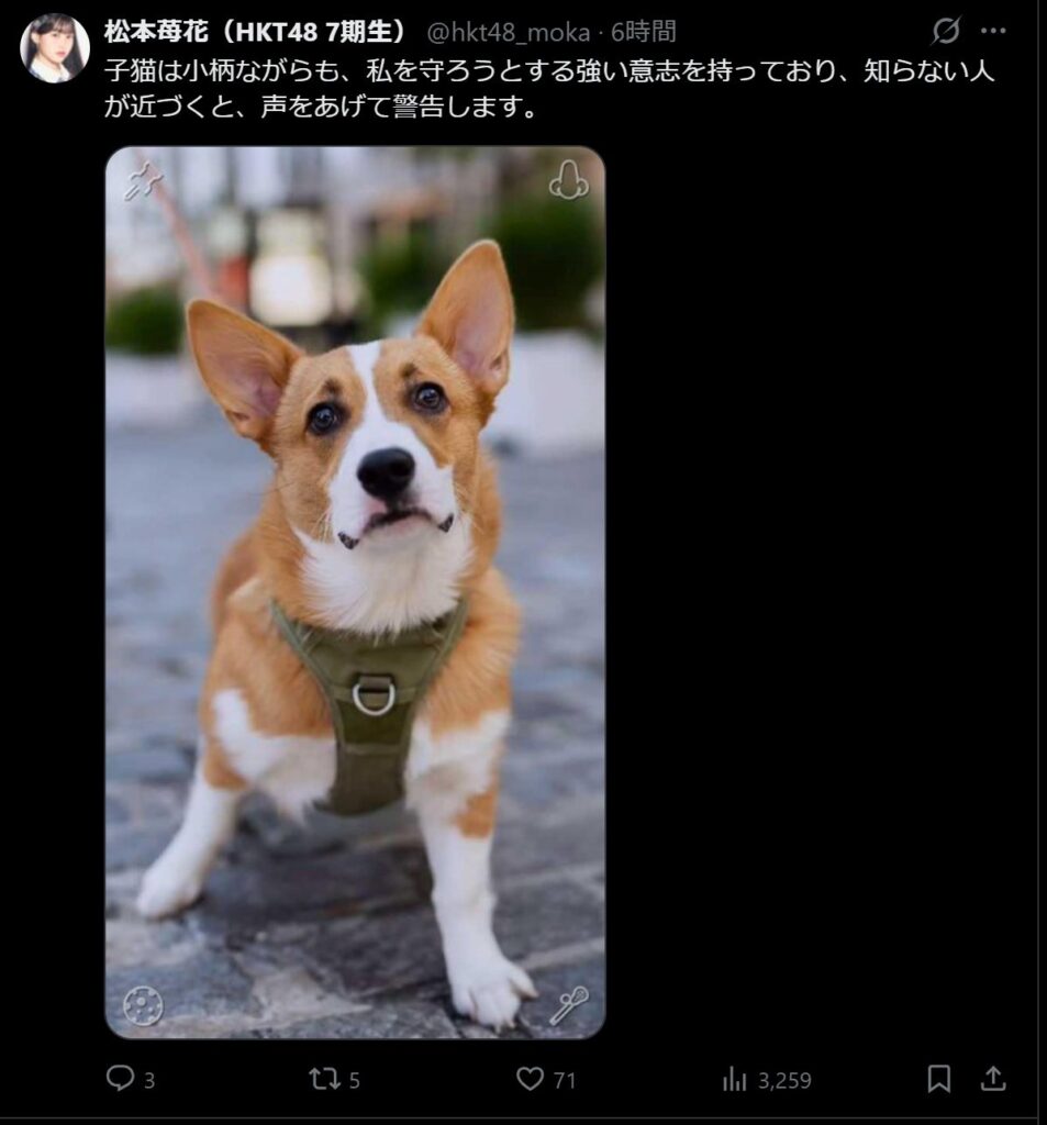 Thumbnail of post image 194