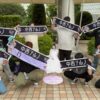 Thumbnail of new posts 043