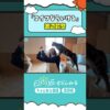 Thumbnail of new posts 097