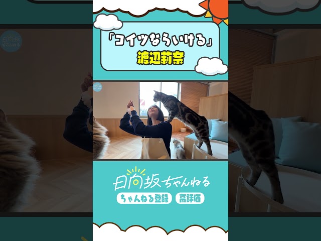 Thumbnail of post image 150