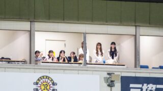 Thumbnail of post image 073
