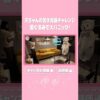 Thumbnail of new posts 076