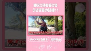 Thumbnail of post image 077