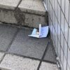 Thumbnail of new posts 071
