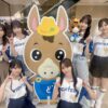 Thumbnail of new posts 072