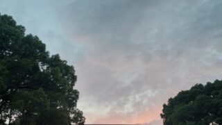 Thumbnail of post image 077