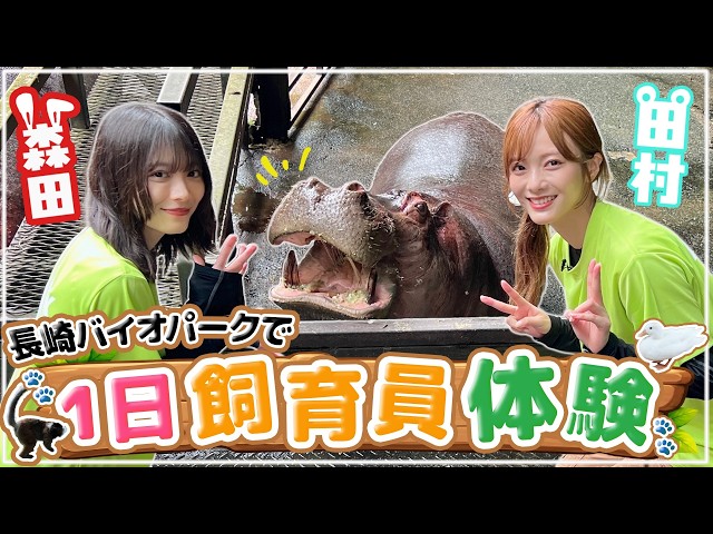 Thumbnail of post image 041
