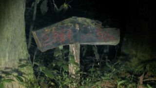 Thumbnail of post image 037