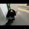 Thumbnail of new posts 128